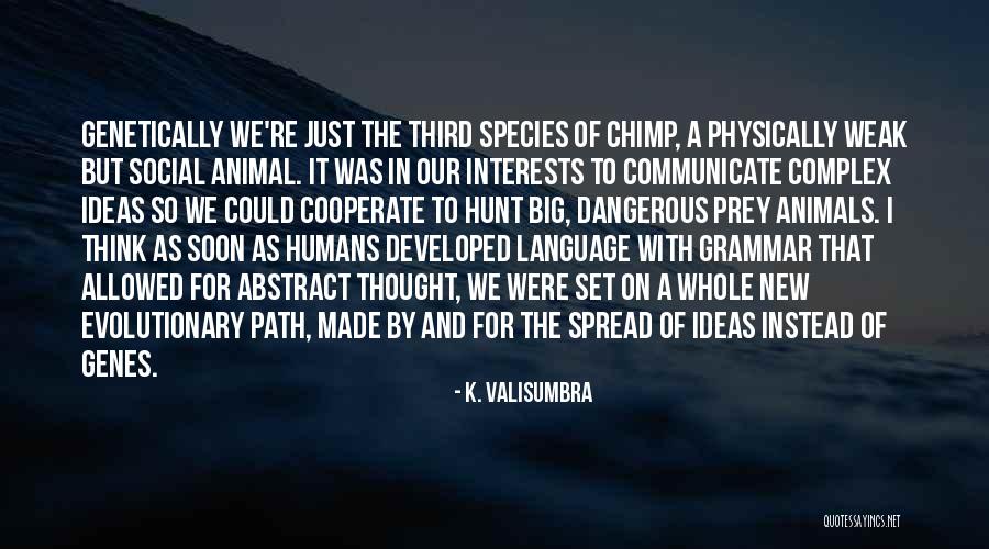 Humans Are Social Animals Quotes By K. Valisumbra