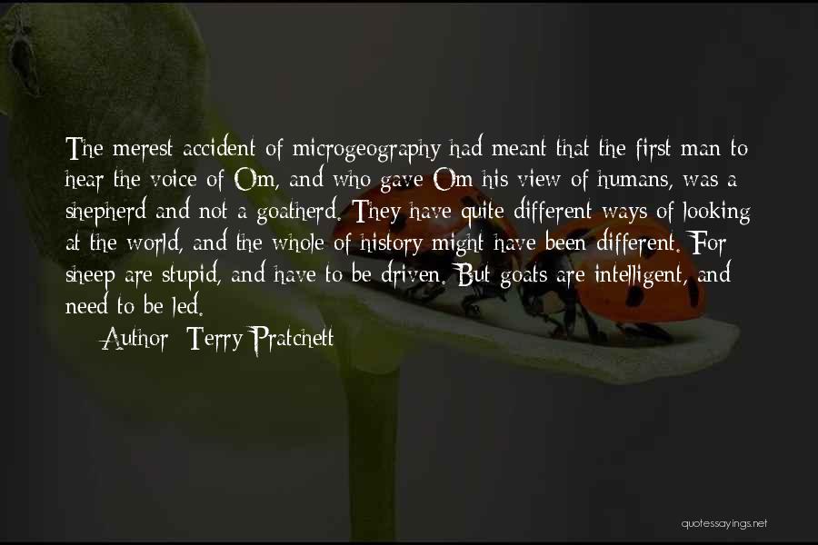 Humans Are Stupid Quotes By Terry Pratchett