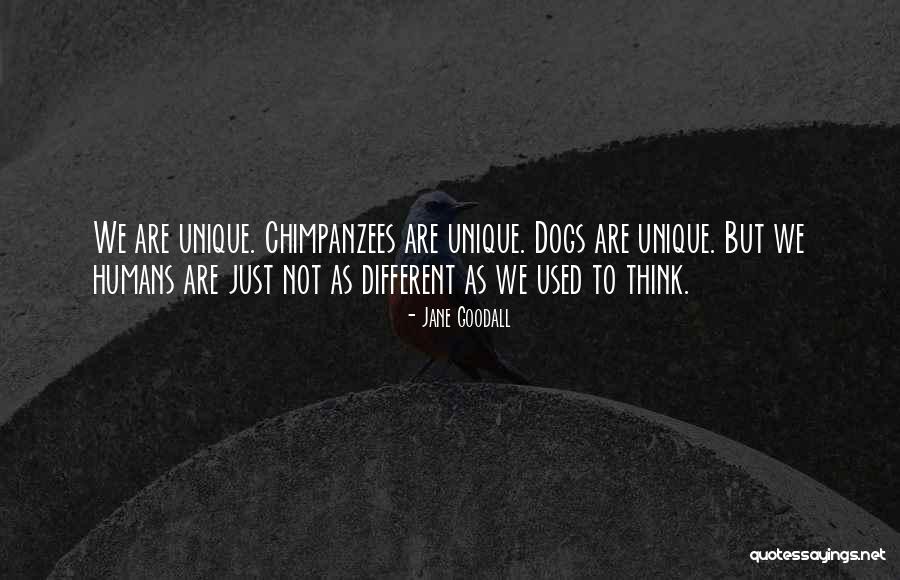 Humans Are Unique Quotes By Jane Goodall Humans Are Unique Quotes By Jane Goodall