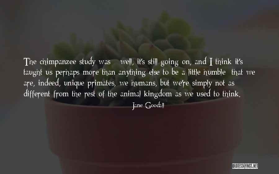 Humans Are Unique Quotes By Jane Goodall Humans Are Unique Quotes By Jane Goodall