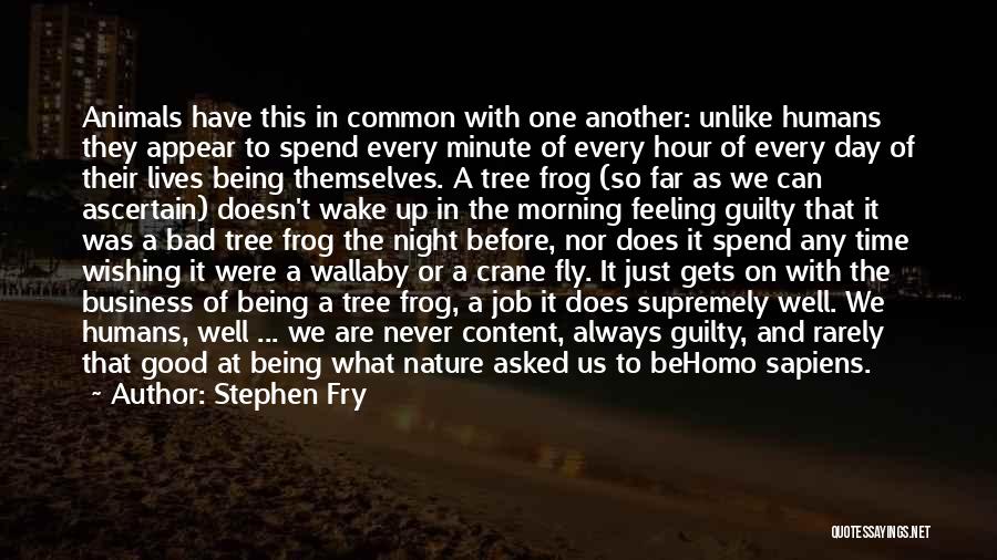 Humans Being Good Quotes By Stephen Fry