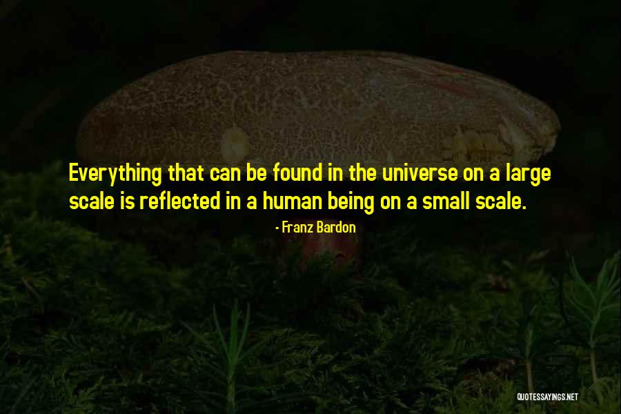 Humans Being Small Quotes By Franz Bardon