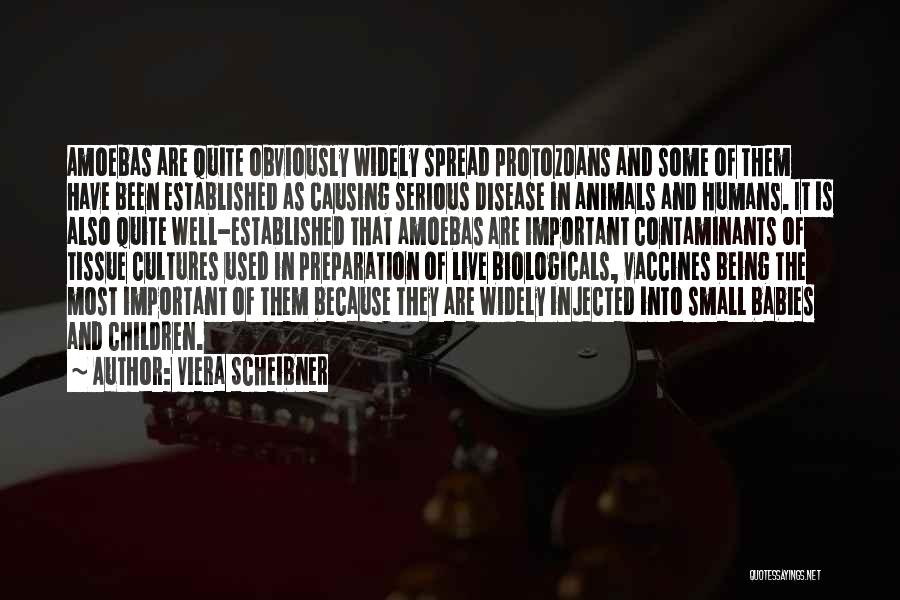 Humans Being Small Quotes By Viera Scheibner