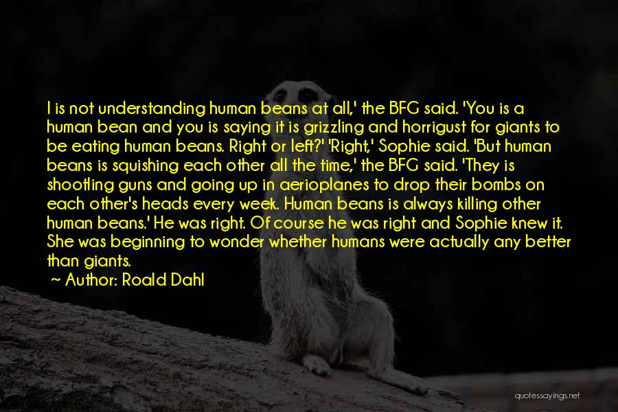 Humans Killing Each Other Quotes By Roald Dahl