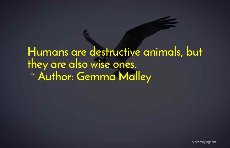 Humans Self Destructive Quotes By Gemma Malley