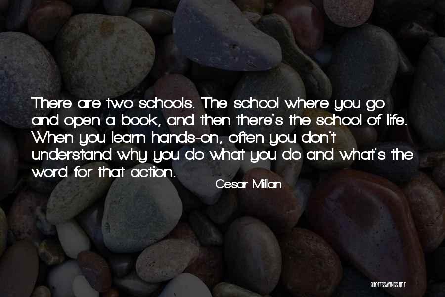 Humans The Song Quotes By Cesar Millan Humans The Song Quotes By Cesar Millan