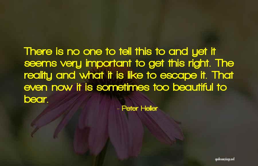 Humayun Faridi Quotes By Peter Heller Humayun Faridi Quotes By Peter Heller