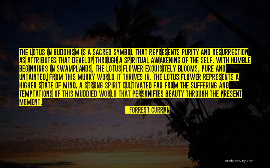 Humble Beauty Quotes By Forrest Curran Humble Beauty Quotes By Forrest Curran