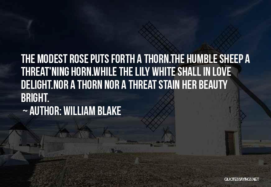 Humble Beauty Quotes By William Blake