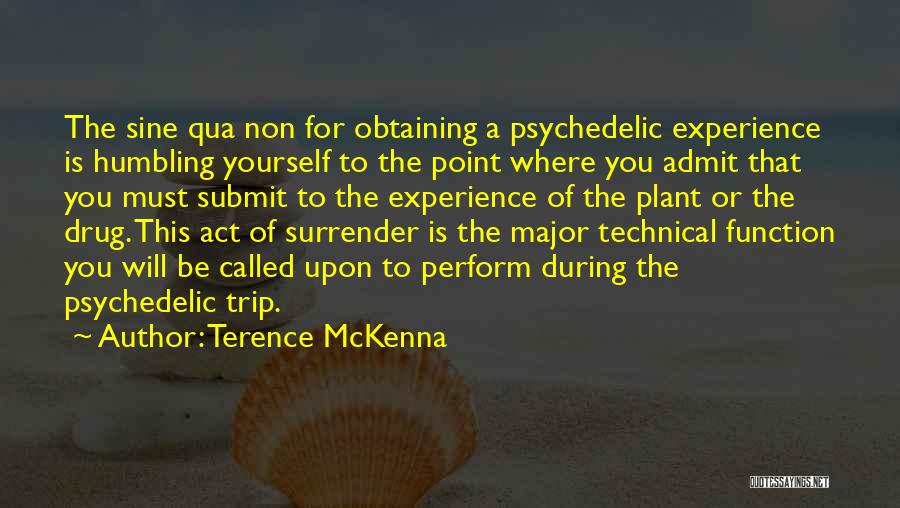 Humbling Ourselves Quotes By Terence McKenna