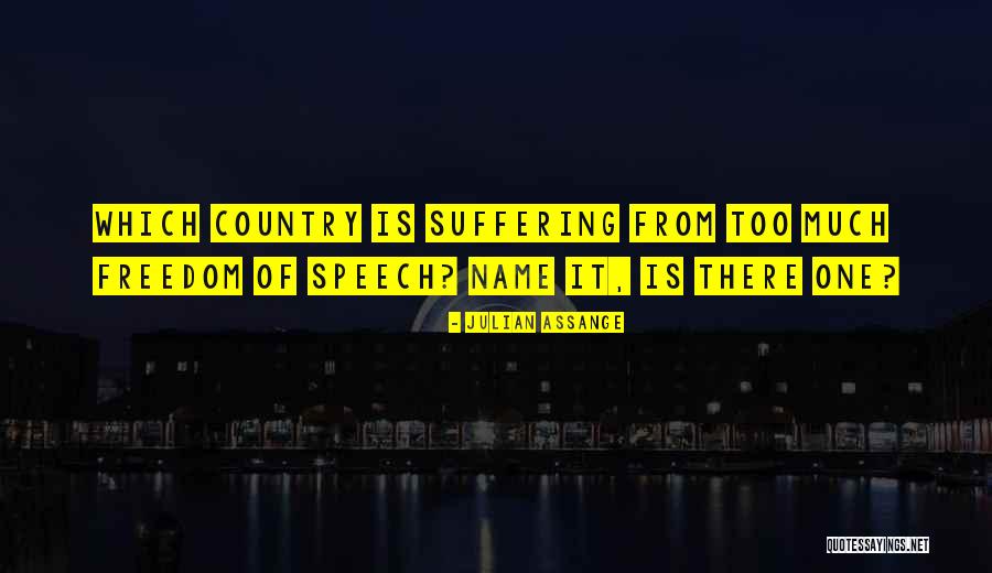 Humblya Quotes By Julian Assange
