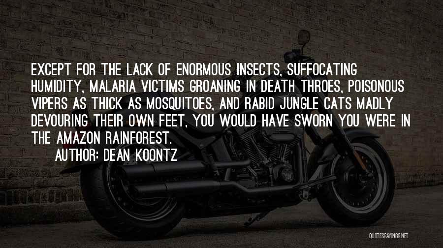 Humidity Quotes By Dean Koontz