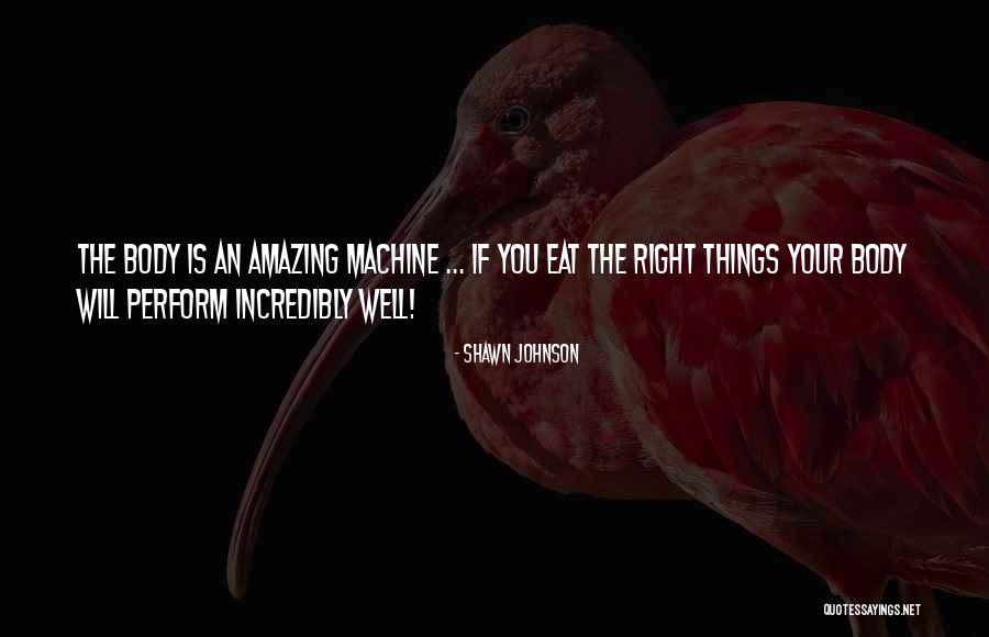 Humildes Delgadina Quotes By Shawn Johnson Humildes Delgadina Quotes By Shawn Johnson