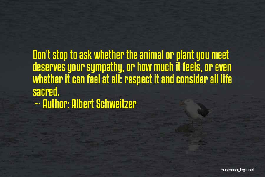 Humilhandose Quotes By Albert Schweitzer