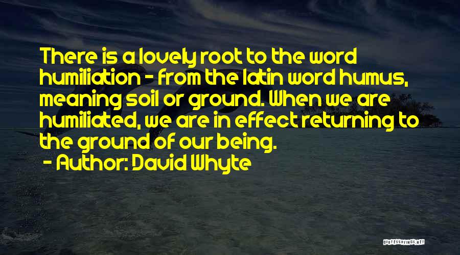 Humiliated Quotes By David Whyte
