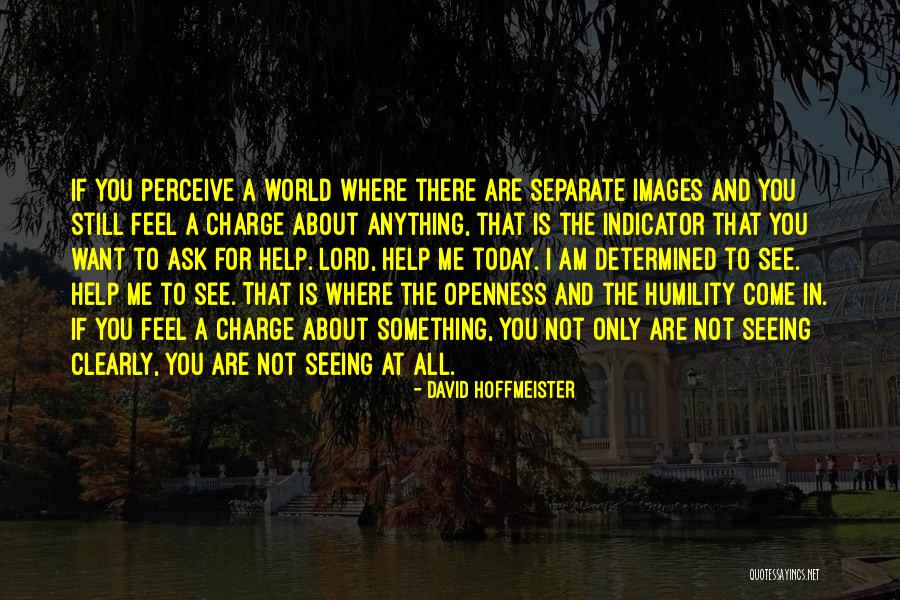 Humility With Images Quotes By David Hoffmeister