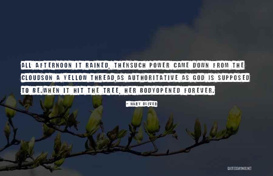 Humillacion Definicion Quotes By Mary Oliver Humillacion Definicion Quotes By Mary Oliver
