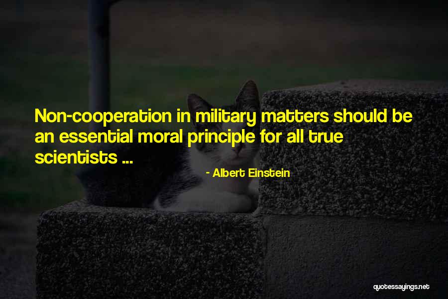 Humillar Menospreciar Quotes By Albert Einstein Humillar Menospreciar Quotes By Albert Einstein