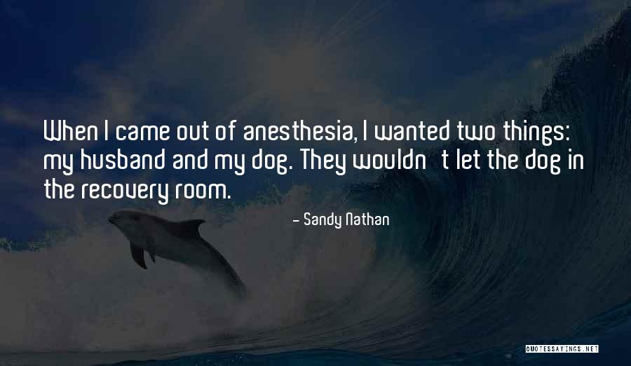 Humor Age Quotes By Sandy Nathan Humor Age Quotes By Sandy Nathan