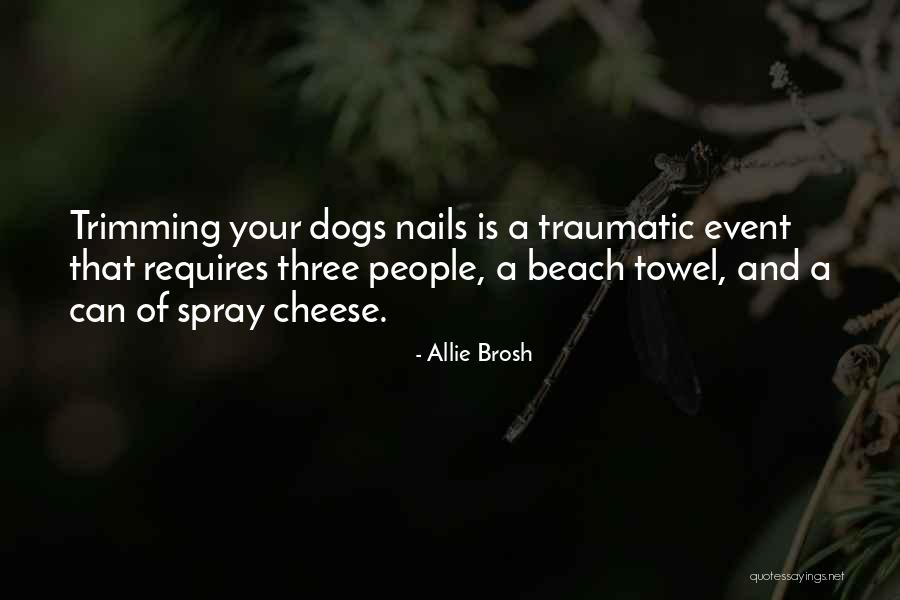 Humor Allie Quotes By Allie Brosh Humor Allie Quotes By Allie Brosh