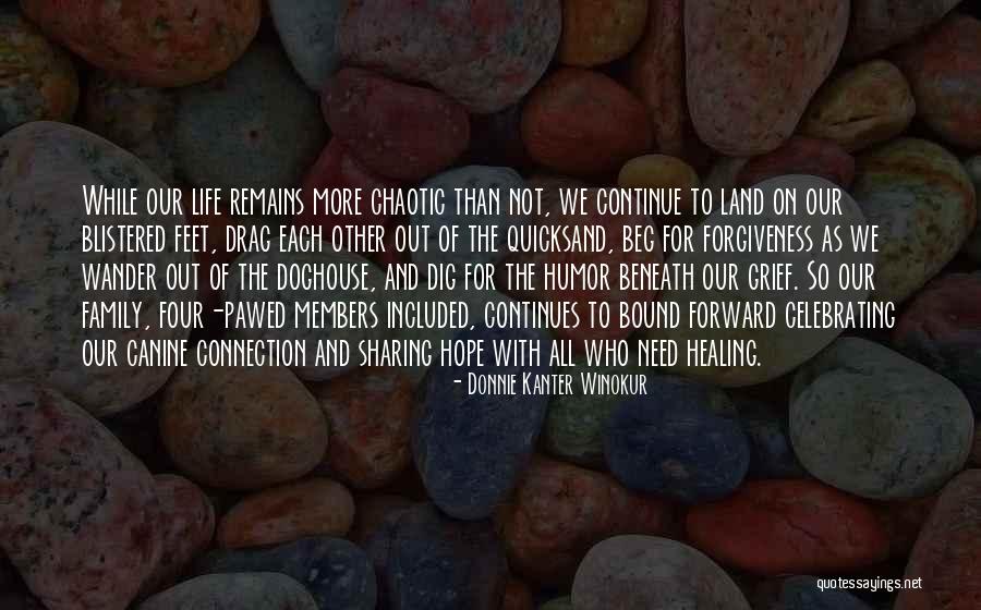 Humor And Healing Quotes By Donnie Kanter Winokur Humor And Healing Quotes By Donnie Kanter Winokur