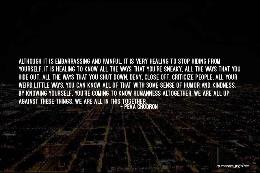 Humor And Healing Quotes By Pema Chodron Humor And Healing Quotes By Pema Chodron