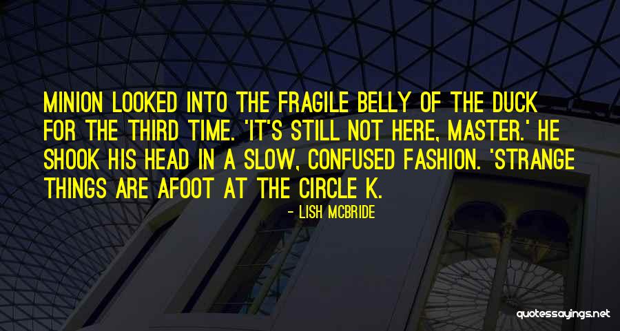 Humor Fashion Quotes By Lish McBride