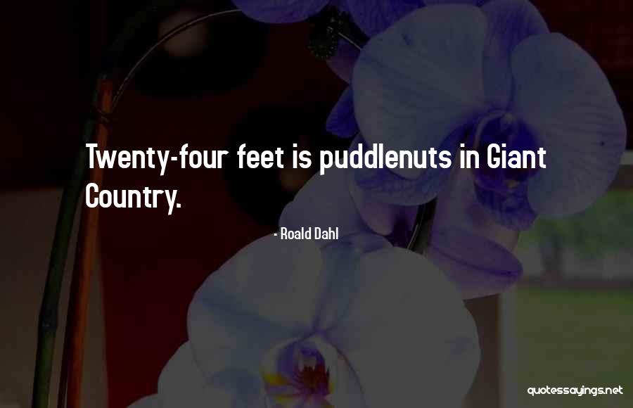 Humor Inspirational Quotes By Roald Dahl