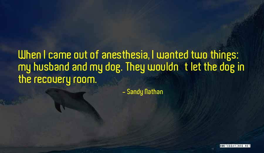 Humor Inspirational Quotes By Sandy Nathan Humor Inspirational Quotes By Sandy Nathan