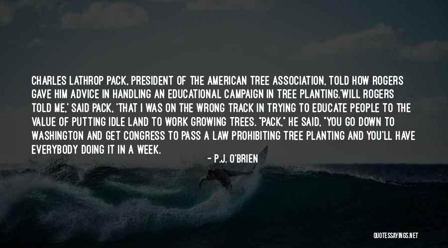 Humor President Quotes By P.J. O'Brien Humor President Quotes By P.J. O'Brien