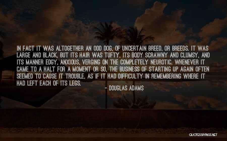 Humorous Descriptions Quotes By Douglas Adams
