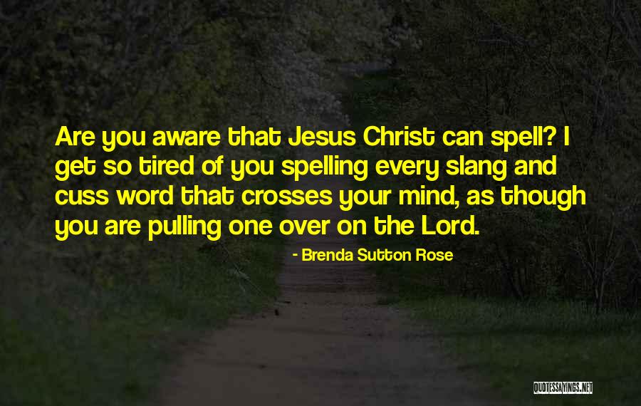 Humorous Fiction Quotes By Brenda Sutton Rose Humorous Fiction Quotes By Brenda Sutton Rose