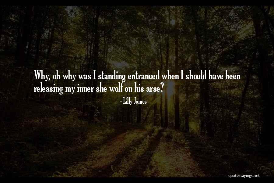 Humorous Fiction Quotes By Lilly James Humorous Fiction Quotes By Lilly James