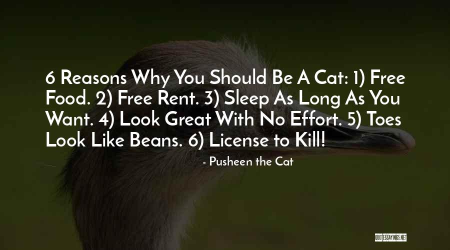 Humorous Food Quotes By Pusheen The Cat Humorous Food Quotes By Pusheen The Cat