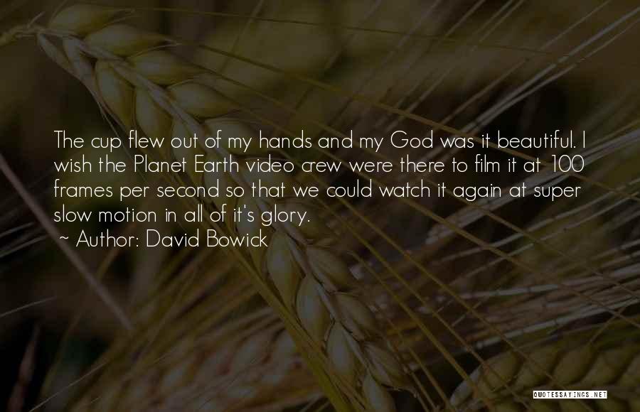 Humorous God Quotes By David Bowick