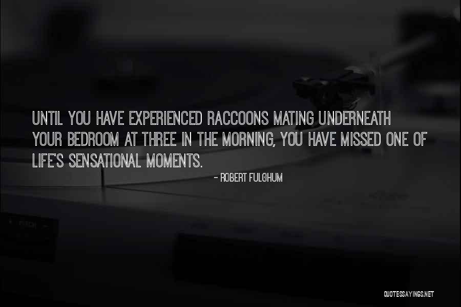 Humorous Morning Quotes By Robert Fulghum Humorous Morning Quotes By Robert Fulghum