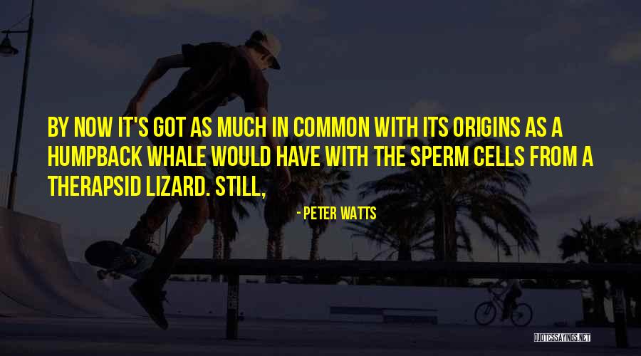 Humpback Whale Quotes By Peter Watts Humpback Whale Quotes By Peter Watts
