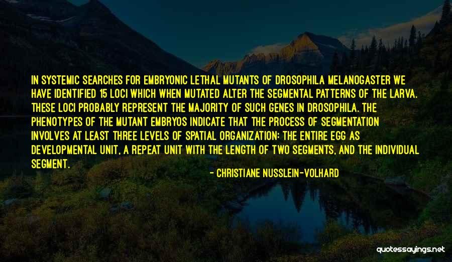 Hundido In English Quotes By Christiane Nusslein-Volhard Hundido In English Quotes By Christiane Nusslein-Volhard