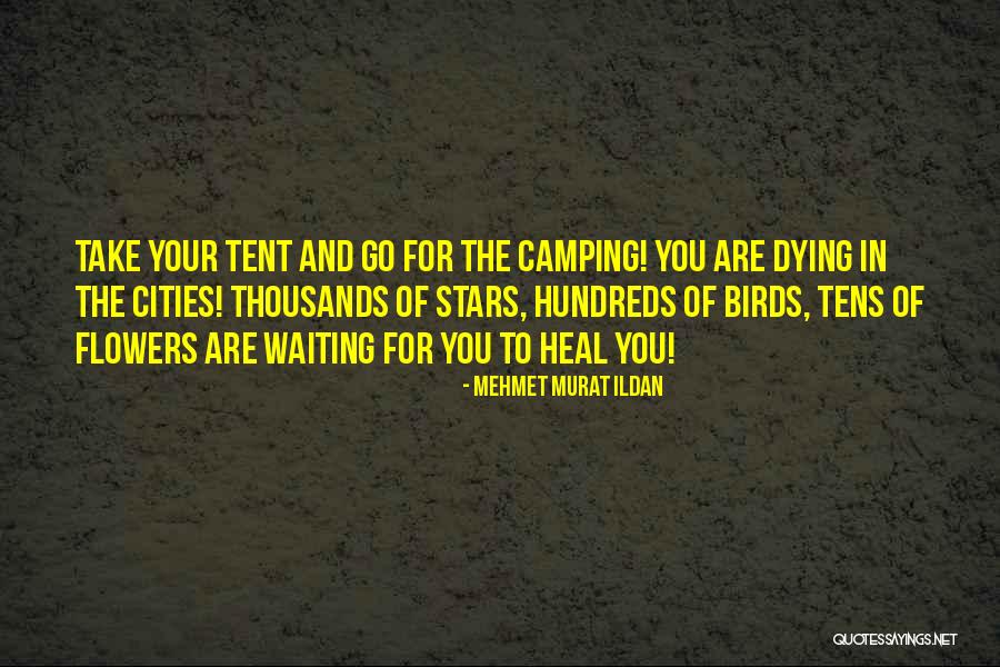 Hundreds Tens Quotes By Mehmet Murat Ildan Hundreds Tens Quotes By Mehmet Murat Ildan