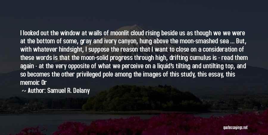 Hung The Moon Quotes By Samuel R. Delany