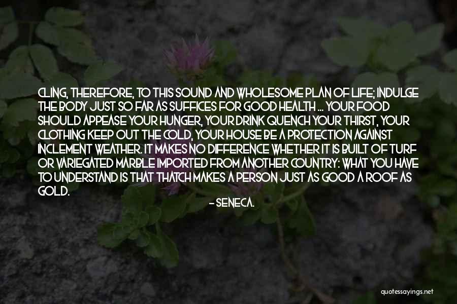 Hunger For Life Quotes By Seneca.