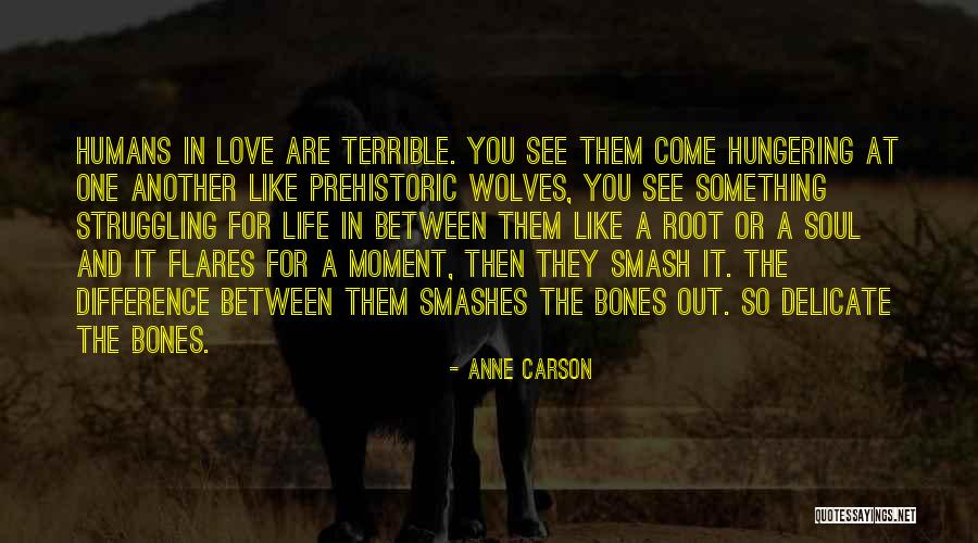 Hungering Quotes By Anne Carson Hungering Quotes By Anne Carson