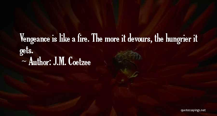 Hungrier Than A Quotes By J.M. Coetzee