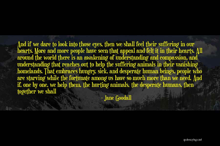 Hungry Eyes Quotes By Jane Goodall Hungry Eyes Quotes By Jane Goodall