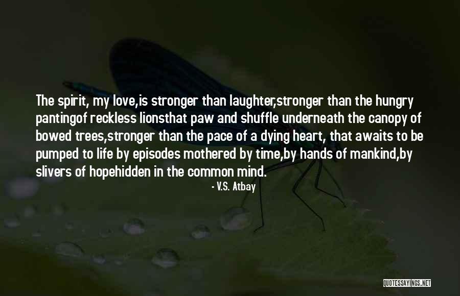 Hungry Lions Quotes By V.S. Atbay Hungry Lions Quotes By V.S. Atbay