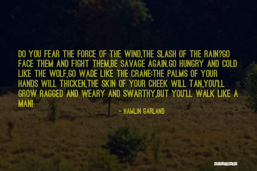 Hungry Wolf Quotes By Hamlin Garland Hungry Wolf Quotes By Hamlin Garland