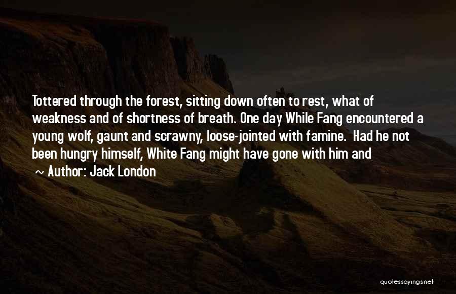 Hungry Wolf Quotes By Jack London