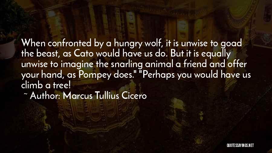 Hungry Wolf Quotes By Marcus Tullius Cicero