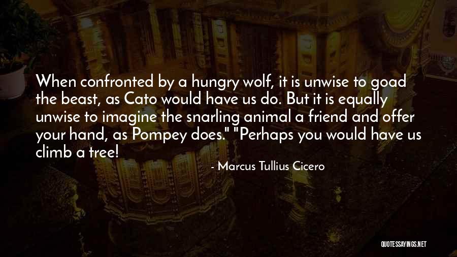 Hungry Wolf Quotes By Marcus Tullius Cicero Hungry Wolf Quotes By Marcus Tullius Cicero