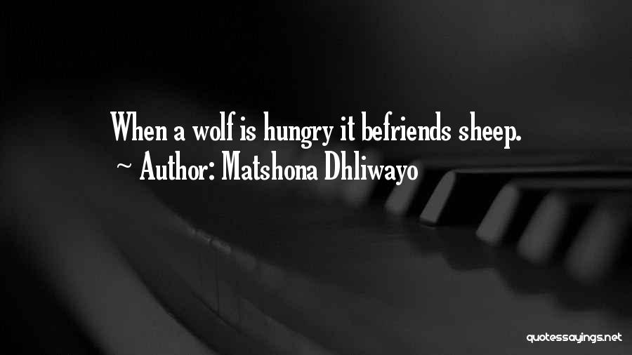 Hungry Wolf Quotes By Matshona Dhliwayo